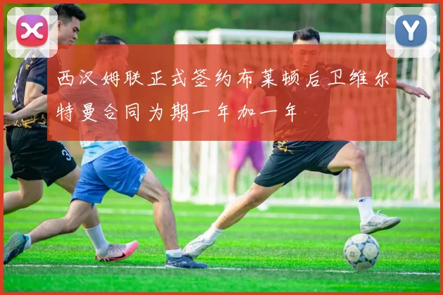 西汉姆联正式签约布莱顿后卫维尔特曼合同为期一年加一年