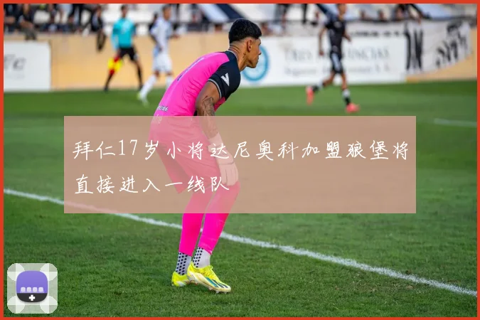 拜仁17岁小将达尼奥科加盟狼堡将直接进入一线队